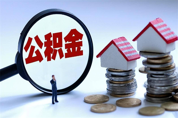 莘县个人公积金提出资料（住房公积金个人怎么提取要什么证件）